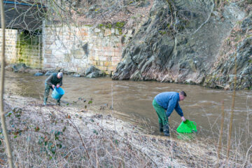 Besatz an der Müglitz