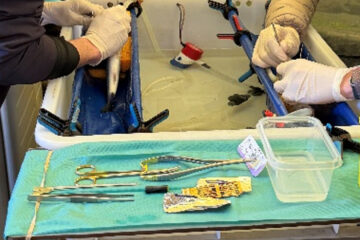 Transponder OP am Lachszentrum Hasper Talsperre